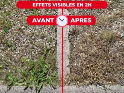 PROTECT EXPERT - Protect expert désherbant ultra concentré - polyvalent - effets visibles sous 3h - 800ml - jusqu鈥² traités proherbiou800
