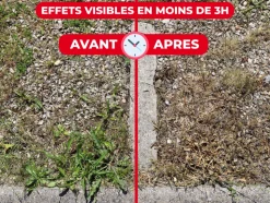 PROTECT EXPERT - Protect expert désherbant ultra concentré - polyvalent - effets visibles sous 3h - 400ml - jusqu鈥² traités proherbiou400