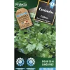 PROTECTA - Graines paysannes - coriandre cultivée