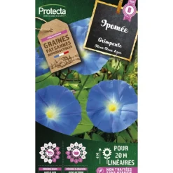 PROTECTA - Graines paysannes - ipomée grimpante à fleur bleue
