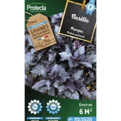 PROTECTA - Graines paysannes - basilic pourpre opal