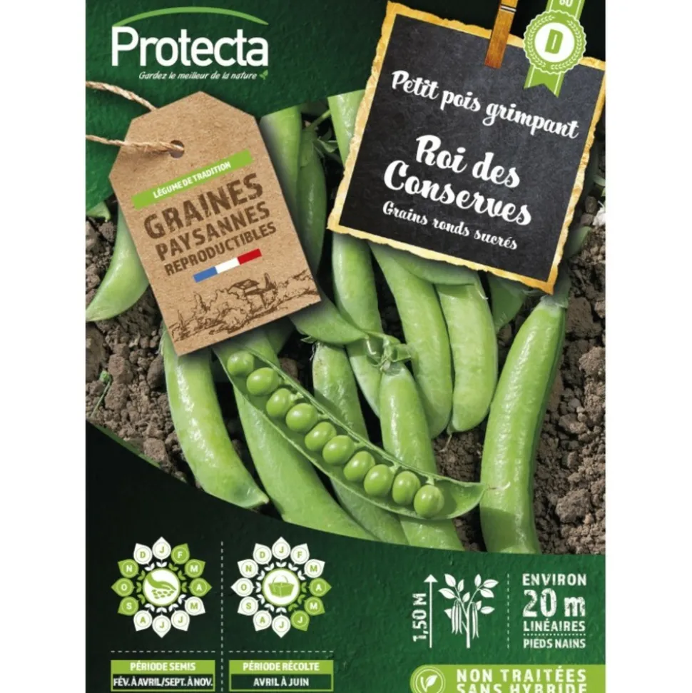 PROTECTA - Graines paysannes - pois à rames roi des conserves