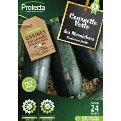 PROTECTA - Graines paysannes - courgette verte maraichère xxl