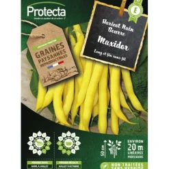 PROTECTA - Graines paysannes - haricot nain beurre maxidor