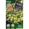 PROTECTA - Graines paysannes - pourpier doré à salade