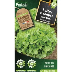 PROTECTA - Graines paysannes - laitue à couper salad bowl verte
