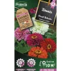 PROTECTA - Graines paysannes - zinnia géant robusta