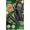 PROTECTA - Graines paysannes - radis d'hiver noir long d'hiver