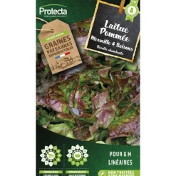 PROTECTA - Graines paysannes - laitue merveille des 4 saisons