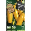 PROTECTA - Graines paysannes - courgette jaune
