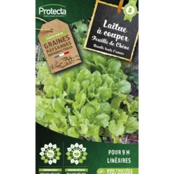 PROTECTA - Graines paysannes - laitue à couper feuille de chêne blonde