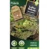 PROTECTA - Graines paysannes - laitue batavia rouge grenobloise