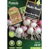 PROTECTA - Graines paysannes - radis rose à bout blanc xxl