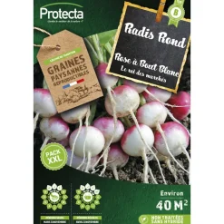 PROTECTA - Graines paysannes - radis rose à bout blanc xxl