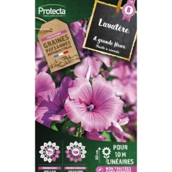 PROTECTA - Graines paysannes - lavatère à grande fleur