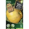 PROTECTA - Graines paysannes - potiron jaune gros de paris