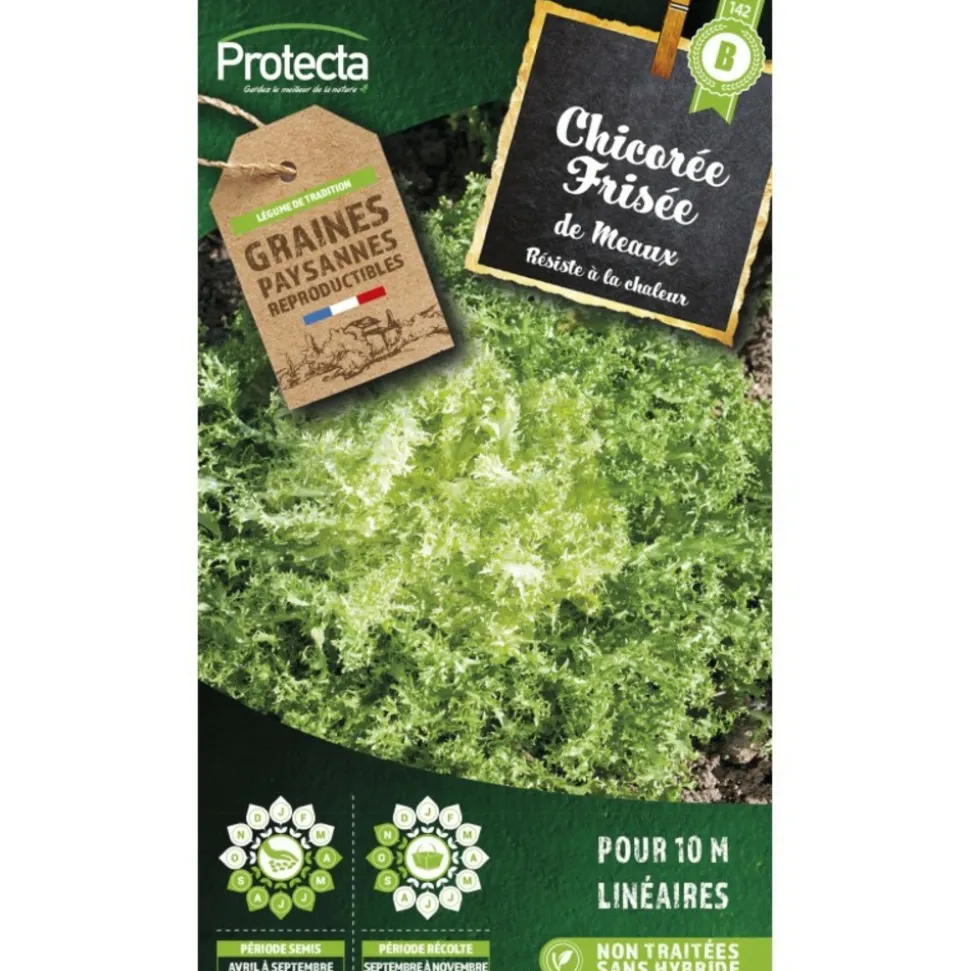 PROTECTA - Graines paysannes - chicorée frisée de meaux