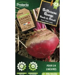 PROTECTA - Graines paysannes - betterave de detroit