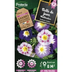 PROTECTA - Graines paysannes - belle de jour variée