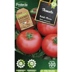 PROTECTA - Graines paysannes - tomate saint-pierre