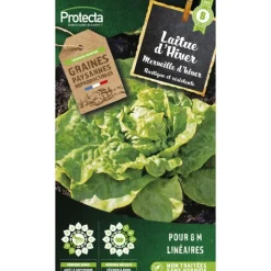 PROTECTA - Graines paysannes - laitue merveille d'hiver