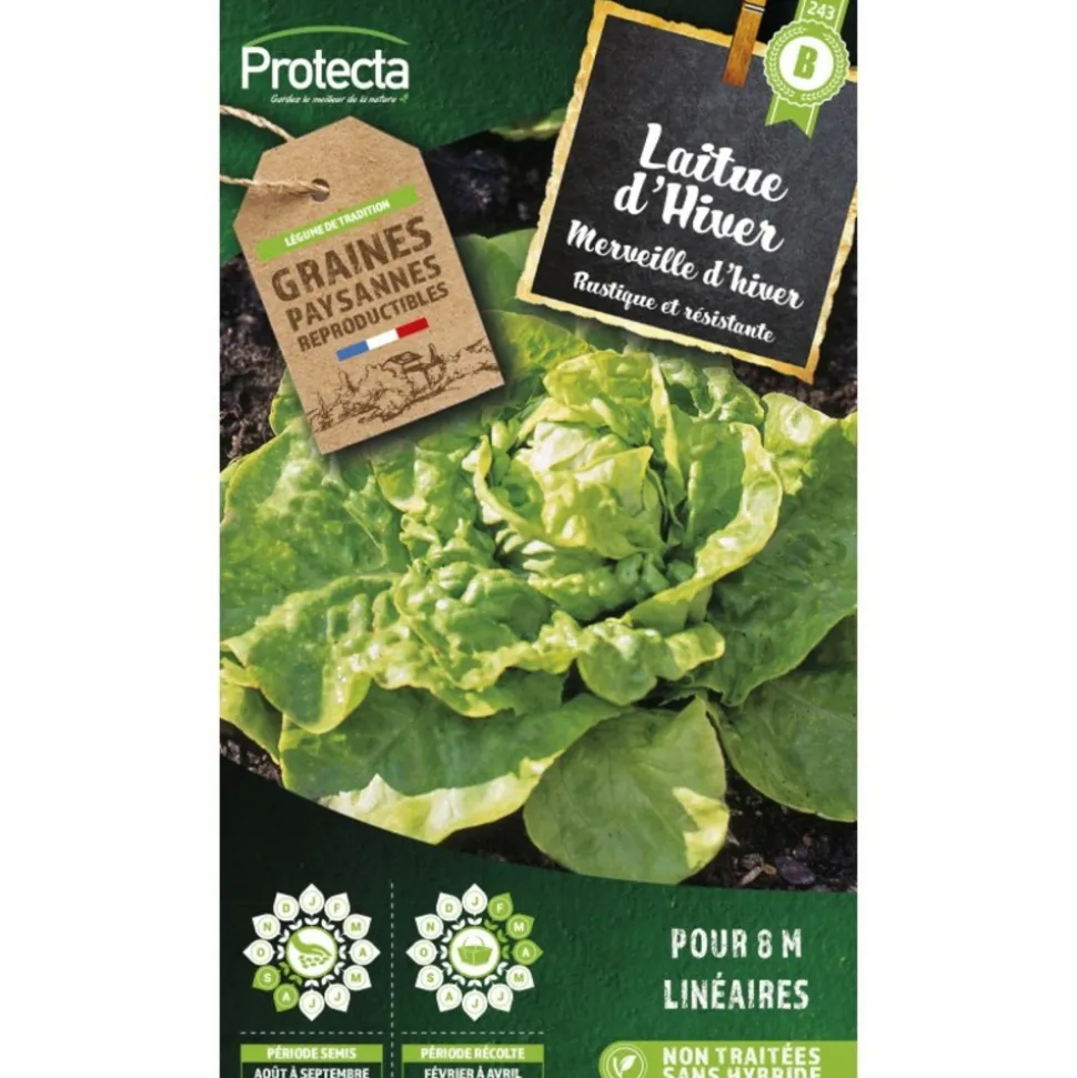 PROTECTA - Graines paysannes - laitue merveille d'hiver