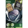 PROTECTA - Graines paysannes - chou rouge gros