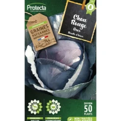 PROTECTA - Graines paysannes - chou rouge gros