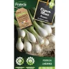 PROTECTA - Graines paysannes - oignon blanc premier