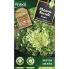 PROTECTA - Graines paysannes - chicorée scarole géante maraichère