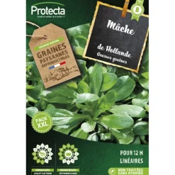 PROTECTA - Graines paysannes - mâche à grosse graine xxl