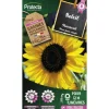 PROTECTA - Graines paysannes - soleil tournesol simple jaune
