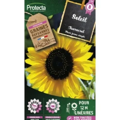 PROTECTA - Graines paysannes - soleil tournesol simple jaune