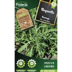 PROTECTA - Graines paysannes - roquette sauvage