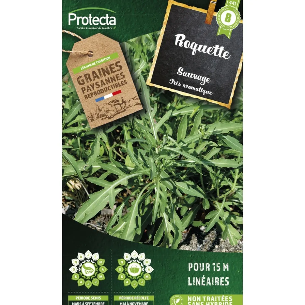 PROTECTA - Graines paysannes - roquette sauvage