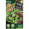 PROTECTA - Graines paysannes - mesclun salade en mélange