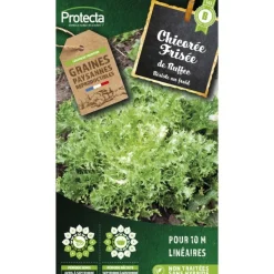 PROTECTA - Graines paysannes - chicorée frisée de ruffec