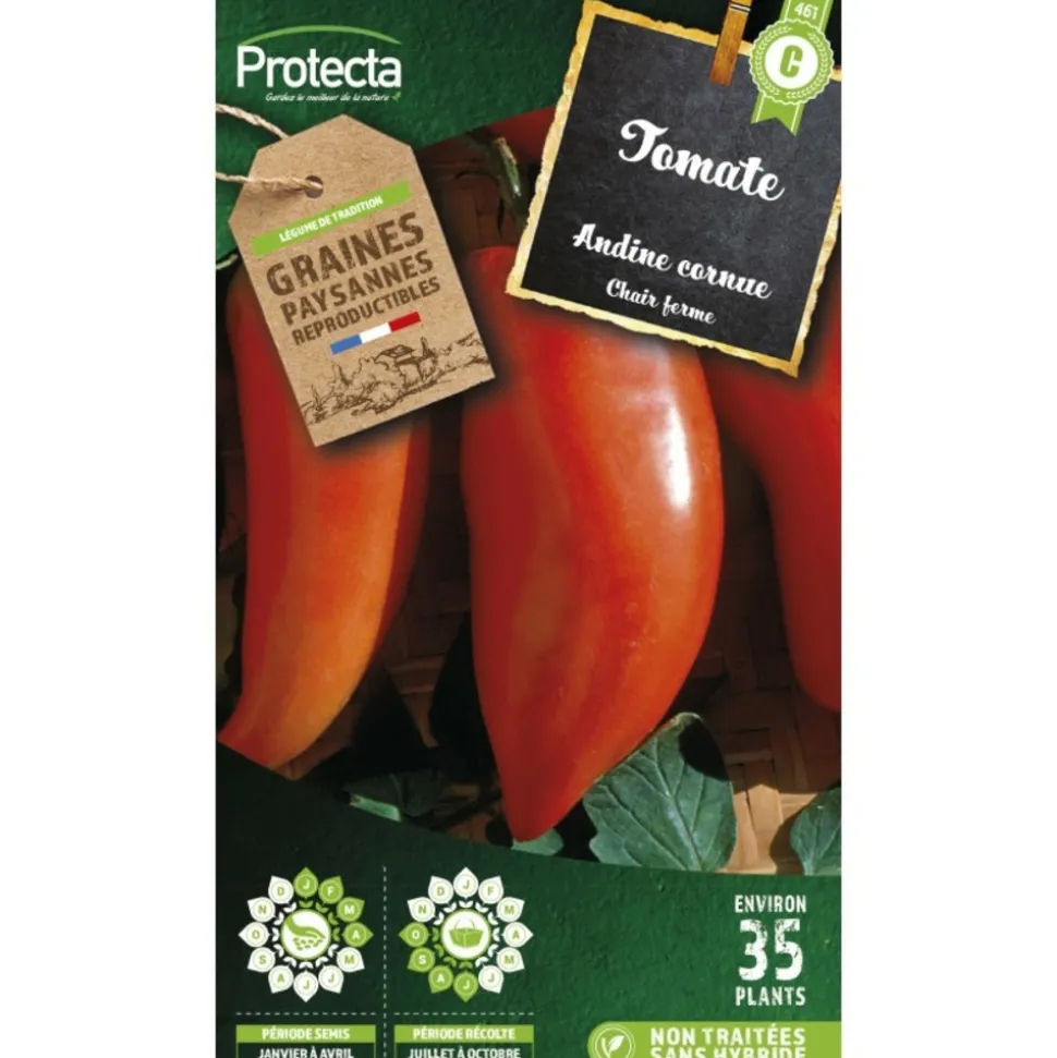 PROTECTA - Graines paysannes - tomate andine cornue