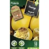 PROTECTA - Graines paysannes - courge spaghetti