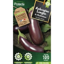 PROTECTA - Graines paysannes - aubergine violette de barbentane