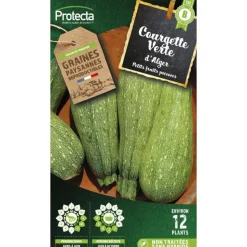PROTECTA - Graines paysannes - courgette petite verte d'alger