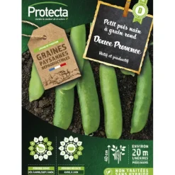 PROTECTA - Graines paysannes - pois nain à grain rond douce provence