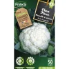 PROTECTA - Graines paysannes - chou fleur merveille de toutes saisons