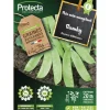 PROTECTA - Graines paysannes - pois mangetout bamby nain