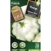 PROTECTA - Graines paysannes - pâtisson blanc