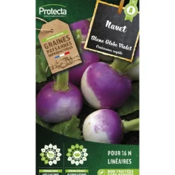 PROTECTA - Graines paysannes - navet rouge plat hâtif à feuille entière