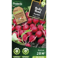 PROTECTA - Graines paysannes - radis rond écarlate