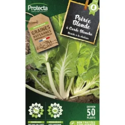 PROTECTA - Graines paysannes - poirée blonde à carde blanche 2