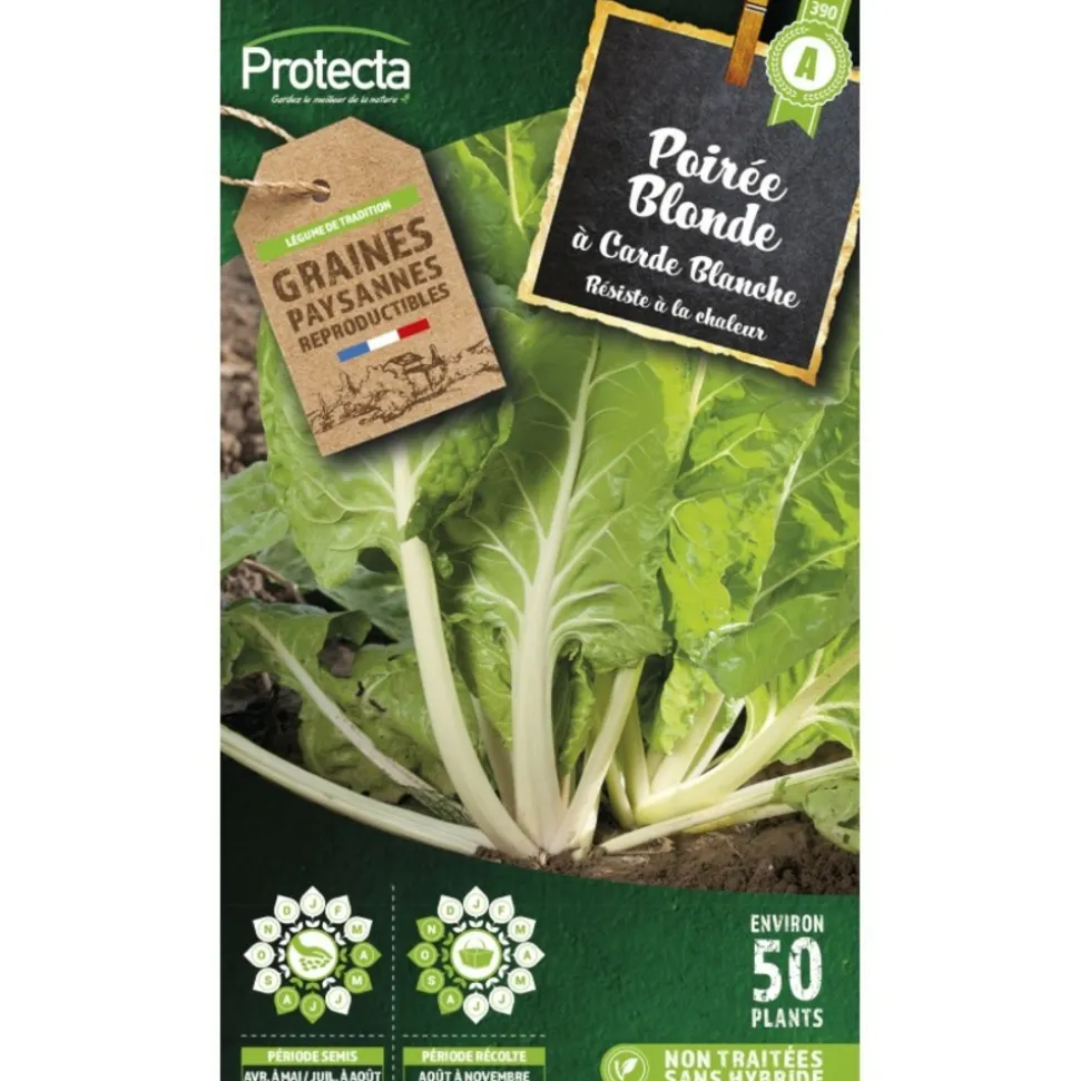 PROTECTA - Graines paysannes - poirée blonde à carde blanche 2