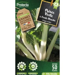 PROTECTA - Graines paysannes - poirée verte à carde blanche 3